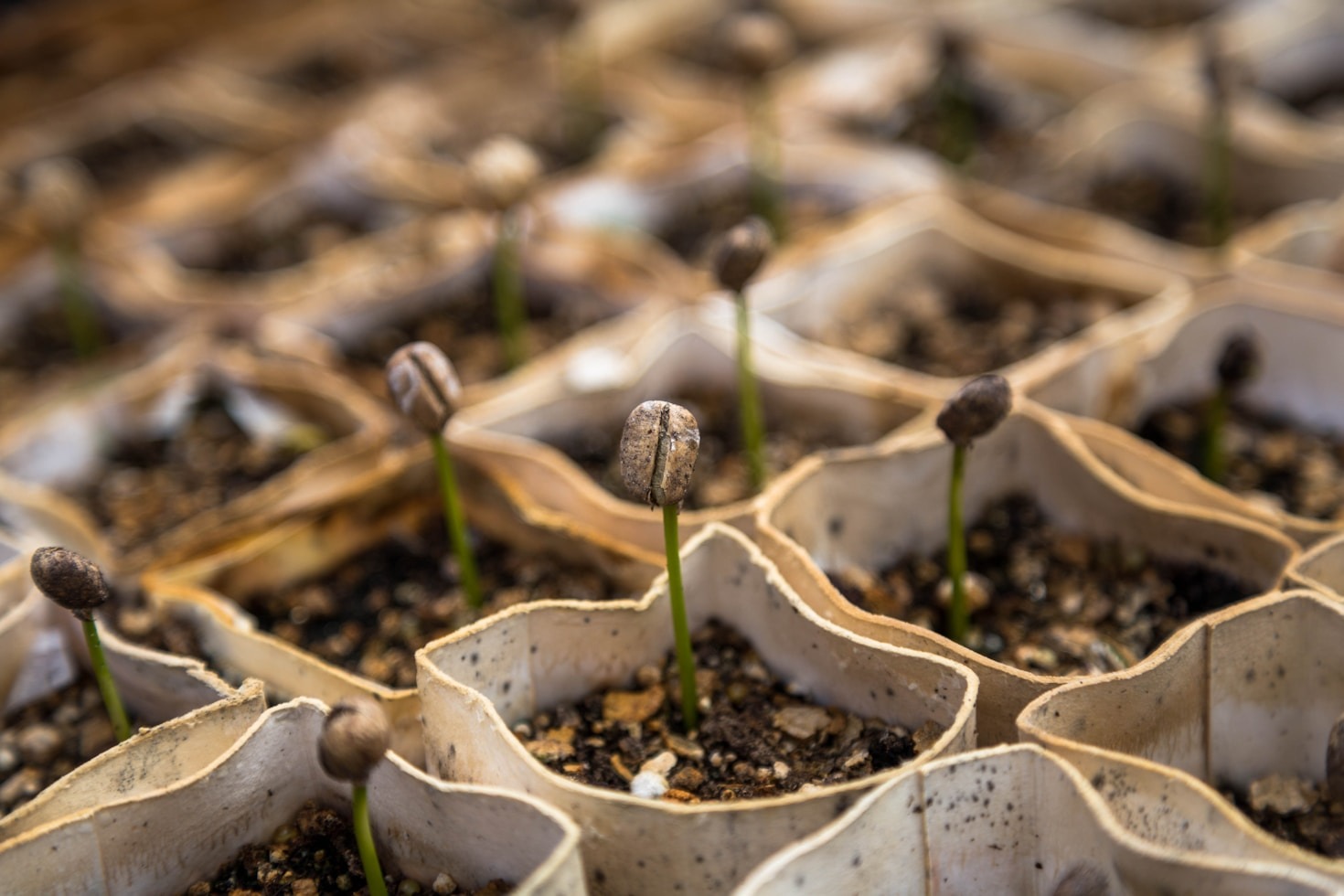 The Importance of Financial Resources for Farmers